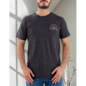 Quiksilver Men's Sun Reflections Graphic Charcoal Gray Short Sleeve T-Shirt L